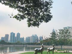 -西北湖绿化广场