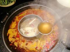 菌汤鸳鸯锅-晓宇重庆火锅(龙首店)