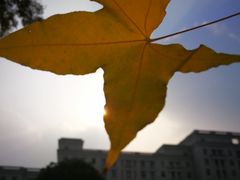 -温江公平红烧兔(总店)