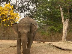 -清迈夜间动物园