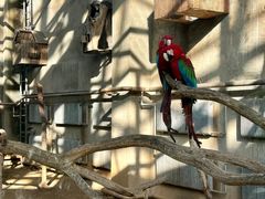 -大连森林动物园