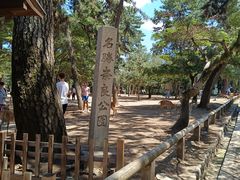 -奈良公园