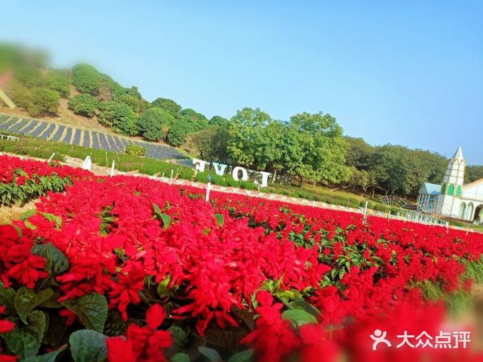 松山湖南湖湾露营营地图片