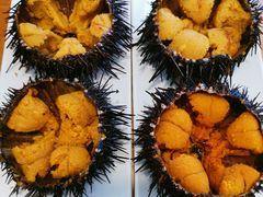 -海胆小馆(东北水饺·春柳店)