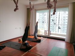 -Yvon yoga 瑜伽·精准体态管理中心