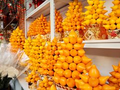 -溪岸路花鸟市场