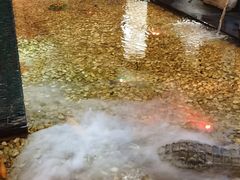 -宝燕海鲜(好爱店)