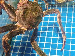 -连鹭海鲜·海肠捞饭·海胆饭(星海店)