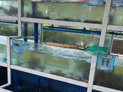 -宴悦海鲜餐厅·游水海鲜·牛排(亚龙湾瑞吉店)