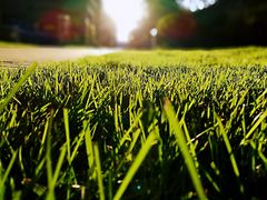 -人民防洪胜利纪念塔