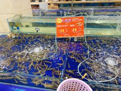 水产区-东江海鲜酒家(艺都分店)
