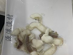 -源港渔村-中山脆肉鲩(博罗店)