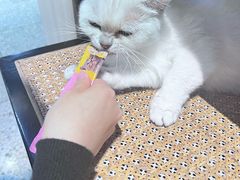 -谷咖啡·鲜花绿植花园餐厅