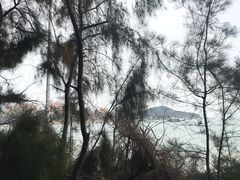 -马銮湾景区