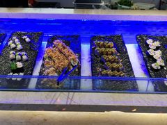 -万象·复兴号鲜肉烤肉海鲜自助(升级店)