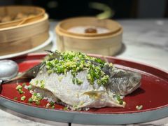 -钟菜·粤菜点心·宴请(海上世界·汇港二期店)