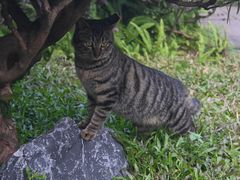 -广州兰圃