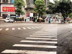 -鸿顺老铁锅美蛙鱼府(解放碑店)