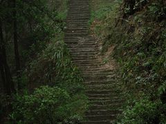 -南山植物园