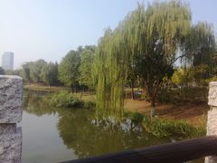 -尚贤河湿地