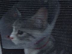 -天使宠物医院·犬猫分诊(彩虹店)