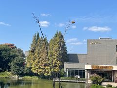 -天目湖涵田半山温泉
