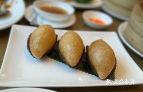 Shrimp Saltwater Angle