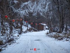 -参仙谷生态旅游度假区