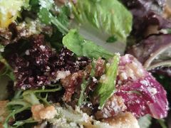 -Tubestation站点比萨(五道营店)