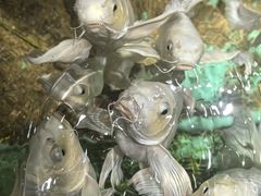 -太平洋海底世界