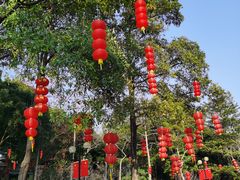 -云溪植物园