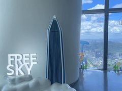 -平安金融中心云际观光层