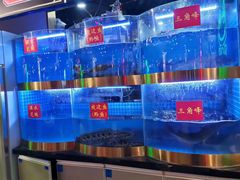 -蛙一刀·麻椒鱼火锅(金仙桥店)