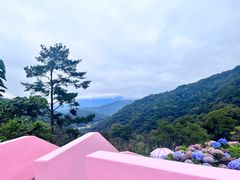 -龙岩森林水乡景区