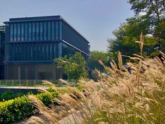 -星巴克(深圳前海企业公馆店)