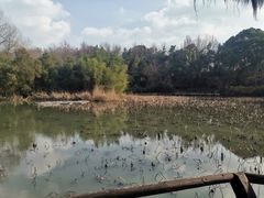 -兰亭风景区
