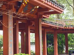 -南山植物园