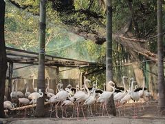 -重庆动物园·东二门售票处