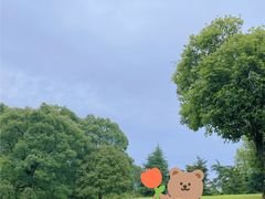 -南山植物园