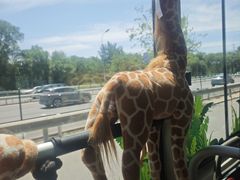 -北京动物园-畅观楼