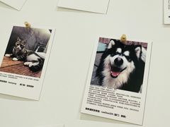 -经福元·推拿·艾灸(广兰路店)