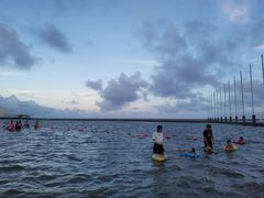-碧海金沙