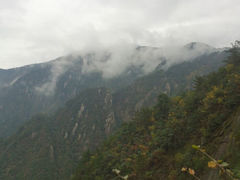 android_upload_pic-大明山自然探索公园