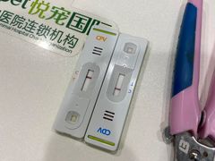 -悦宠凯宝动物医院·牙科·皮肤科(朝阳北路店)
