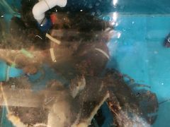-中苑海韵