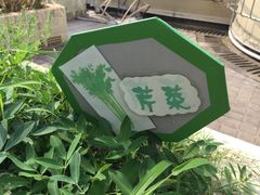 冰厂田幼儿园(浦东南路分园)-冰厂田幼儿园(世纪部)