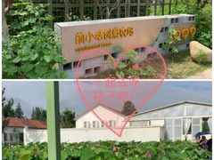 -前小桔亲子创意农场·草莓采摘·露营烧烤