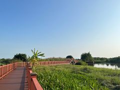 -芒洲湿地公园
