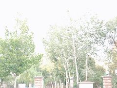 -小渔莊•地道胶东菜(旅游路万象省博物馆店)