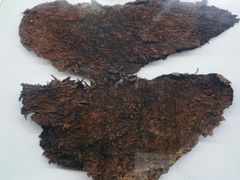 -汉景帝阳陵博物院